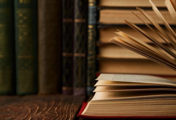 WhatsApp Image 2025-03-17 at 1.11.36 PM (1)