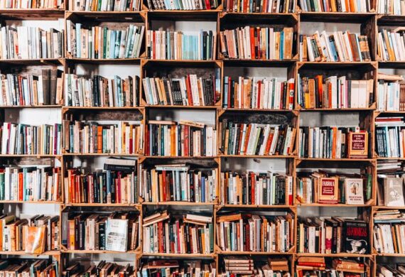 WhatsApp Image 2025-03-17 at 1.11.36 PM