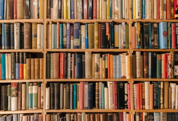 WhatsApp Image 2025-03-17 at 1.11.38 PM